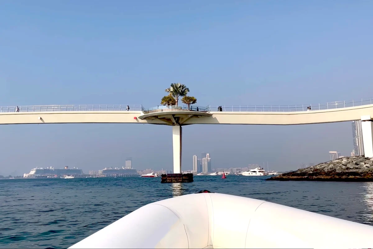 Sightseeing Speed Boat Tour - Image 7
