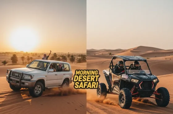 Morning Desert Safari with 1 Hour Buggy tour