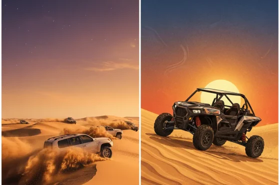 Evening Desert safari with 30 Minuts buggy ride