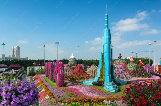 Dubai city tour with Burj khalifa & Miracle Garden