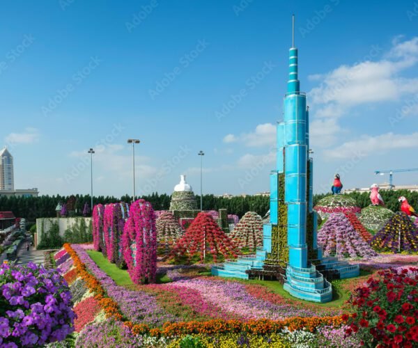 Dubai city tour with Burj khalifa & Miracle Garden