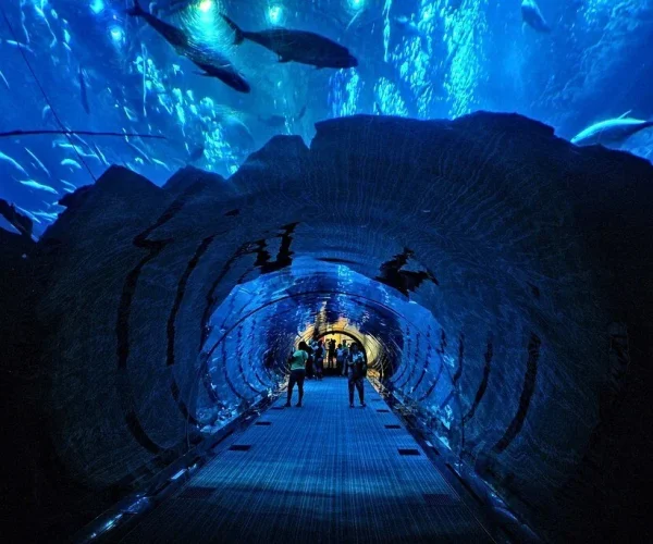 Aquaventure Waterpark + Lost Chambers Combo Tickets