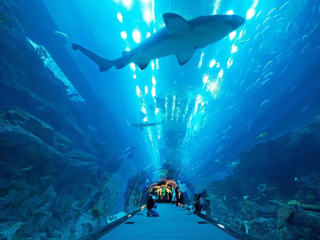 Dubai Aquarium & Underwater Zoo Tickets – Dubai Mall