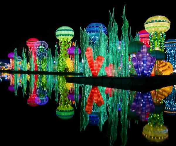Dubai Glow Garden Tickets