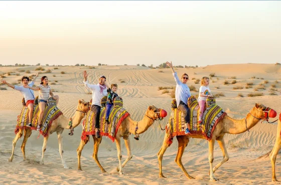 Private Evening Desert Safari – 4×4 Car