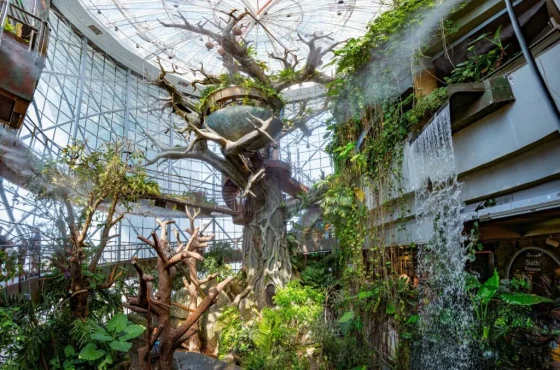 The Green Planet Dubai Tickets