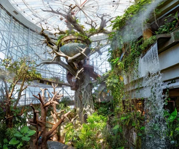 The Green Planet Dubai Tickets